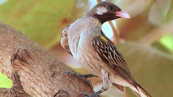El sorprendente hallazgo sobre los