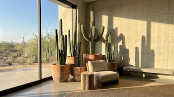 Interior moderno con ventanales, paisaje desértico exterior. Grandes cactus en macetas, sillón claro, mesa de tronco y alfombra. Luz solar con sombras en pared de concreto.