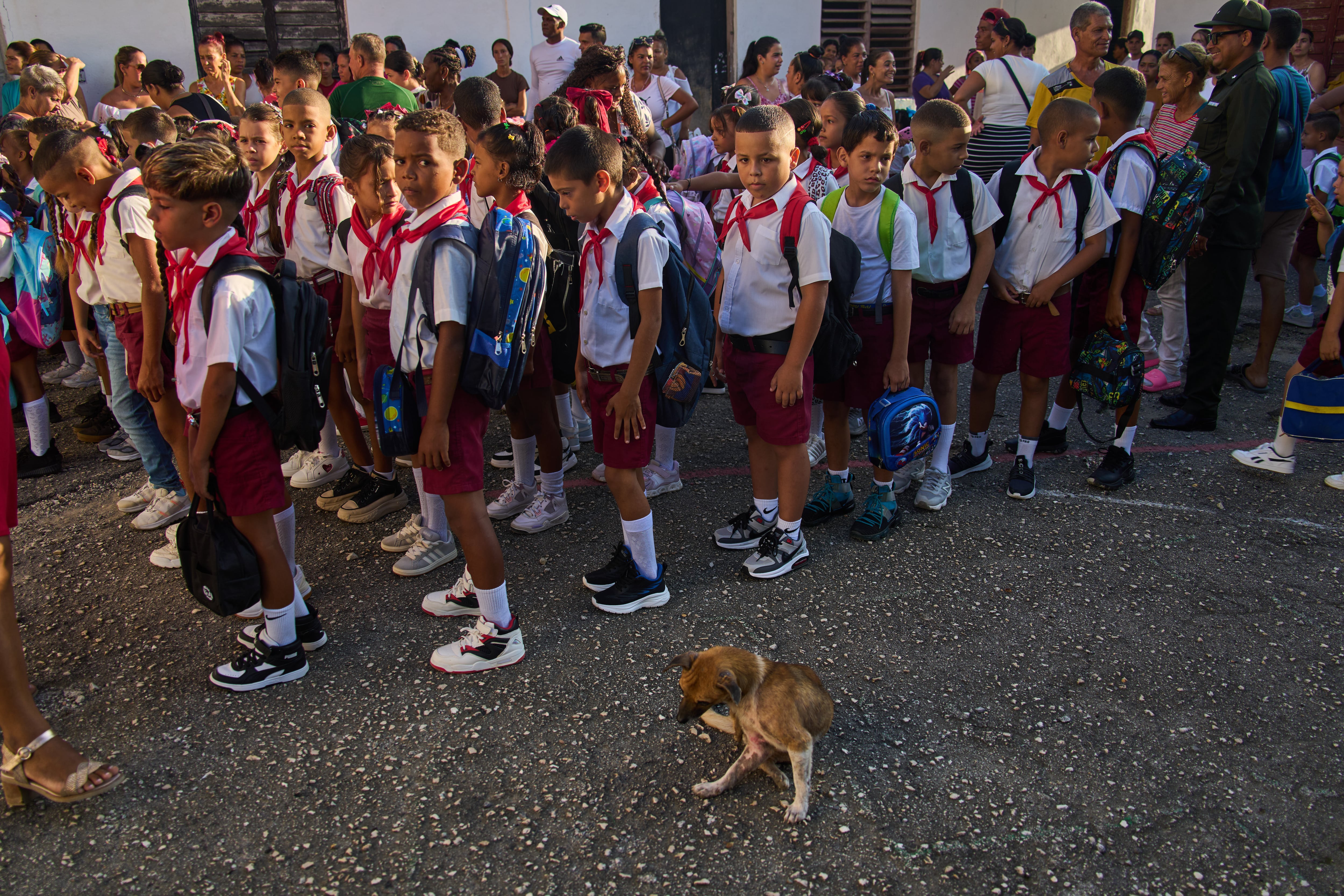 Niños hacen fila para el himno nacional en el patio de la escuela, donde un perro callejero permanece sentado, durante el primer día de clases en Minas, provincia de La Habana, Cuba, el martes 1 de septiembre de 2026. (Foto AP/Ramon Espinosa)