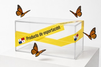 Una caja transparente envuelta con cinta amarilla que lleva la bandera de Panamá y cuatro mariposas monarca alrededor.