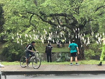 Publicación de María Paula Payares