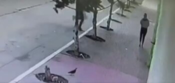 La mujer caminaba de manera tranquila cuando fue atacada.