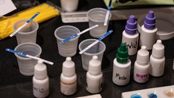 Voceros de ‘Échele Cabeza’ desmienten