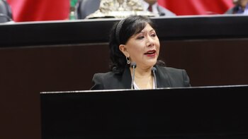 Senadora del PRI pide a