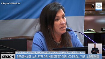 Laura Rodríguez Machado, senadora del