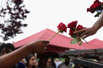 Las espinas se encuentran en