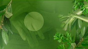 Ácido úrico alto: estas son