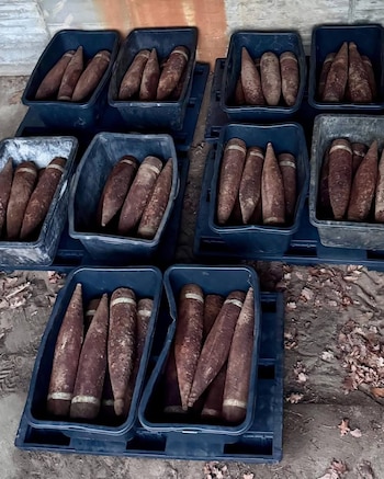 Diez cubos negros de plástico contienen proyectiles de artillería grandes, cónicos y oxidados, apoyados sobre pallets en un suelo de tierra con hojas secas