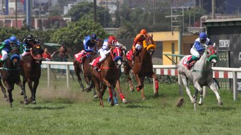 La entrada será gratuita para