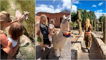 Llamas, cactus y paisajes de