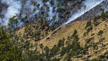 Ministerio de Medio Ambiente confirma que el incendio en Valle Nuevo fue controlado en República Dominicana