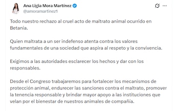 La representante electa rechazó el nuevo caso de maltrato animal - crédito X