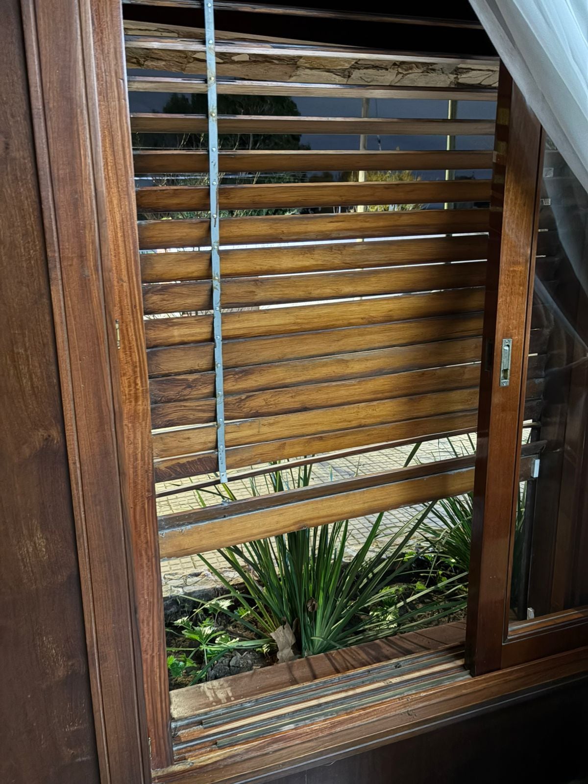 Los ladrones entraron por la ventana de la vivienda