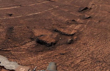 El rover Curiosity de la NASA capturó esta vista de cerca, revelando la distintiva textura de panal de abeja de estas fracturas (NASA/JPL-Caltech/MSSS)