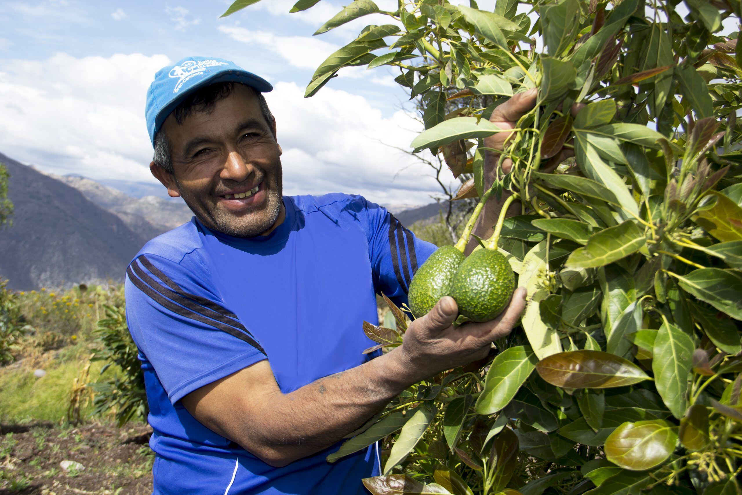 Los avances en edición genética podrían ser clave para fortalecer la agricultura en Perú. Foto: Ayuda en Acción Perú