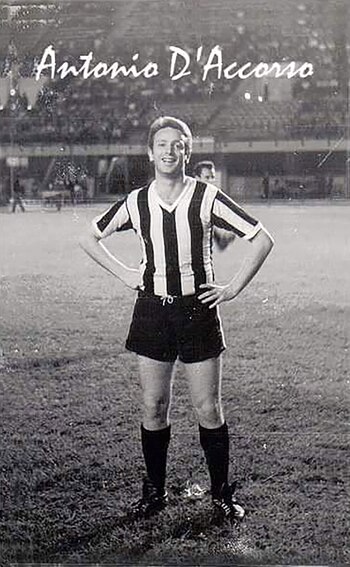Antonio D 'Accorso