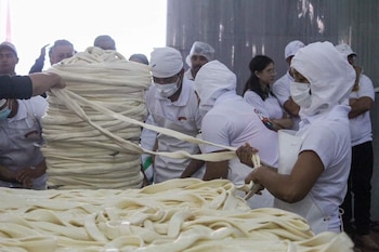 El queso más grande del