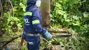 Porque le pidió no botar
