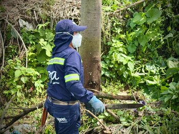 Operario fue atropellado por un