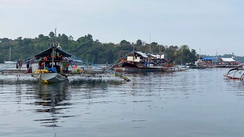 Activistas y voluntarios en barcos