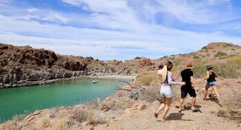 La biodiversidad mundial se reduce