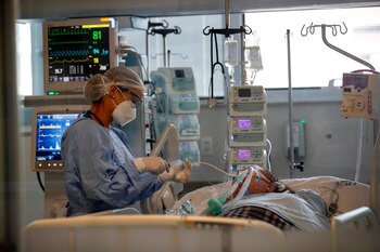 Para los investigadores, es "fundamental