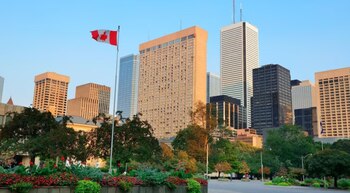 Empresa Canadiense Busca Operadores de