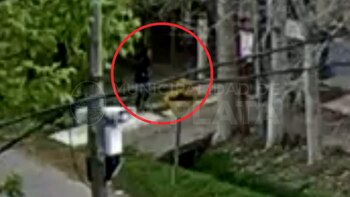 Video: llegó borracho a la