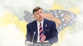 Christopher Landau usa a la mariposa monarca para ‘aliviar tensión’ tras polémica publicación ligada a retiro de visas