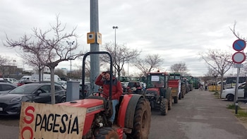 Mallorca respalda a sus payeses