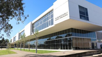 Se informó que el paciente