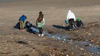 Europarlamentarios presionan para que futura