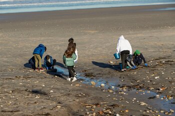 Recogida de pellets en la