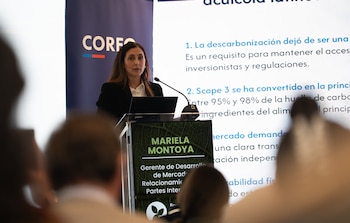 Mariela Montoya, gerente de Desarrollo de Mercado y Relacionamiento de la Mesa Redonda de Soja Responsable (RTRS)