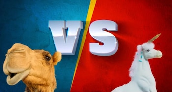 Startups camello vs unicornio. (foto:
