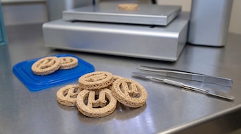 Galletas beige con grabado central sobre una mesa metálica junto a pinzas, una espátula y una tapa azul de plástico.
