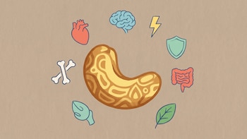 8 beneficios comprobados de las castañas de cajú para la salud, según la ciencia