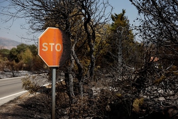 Vista de la tierra quemada en Fresnedillas de la Oliva este miércoles tras la vuelta de los vecinos evacuados por los incendios forestales. (EFE/Rodrigo Jiménez)