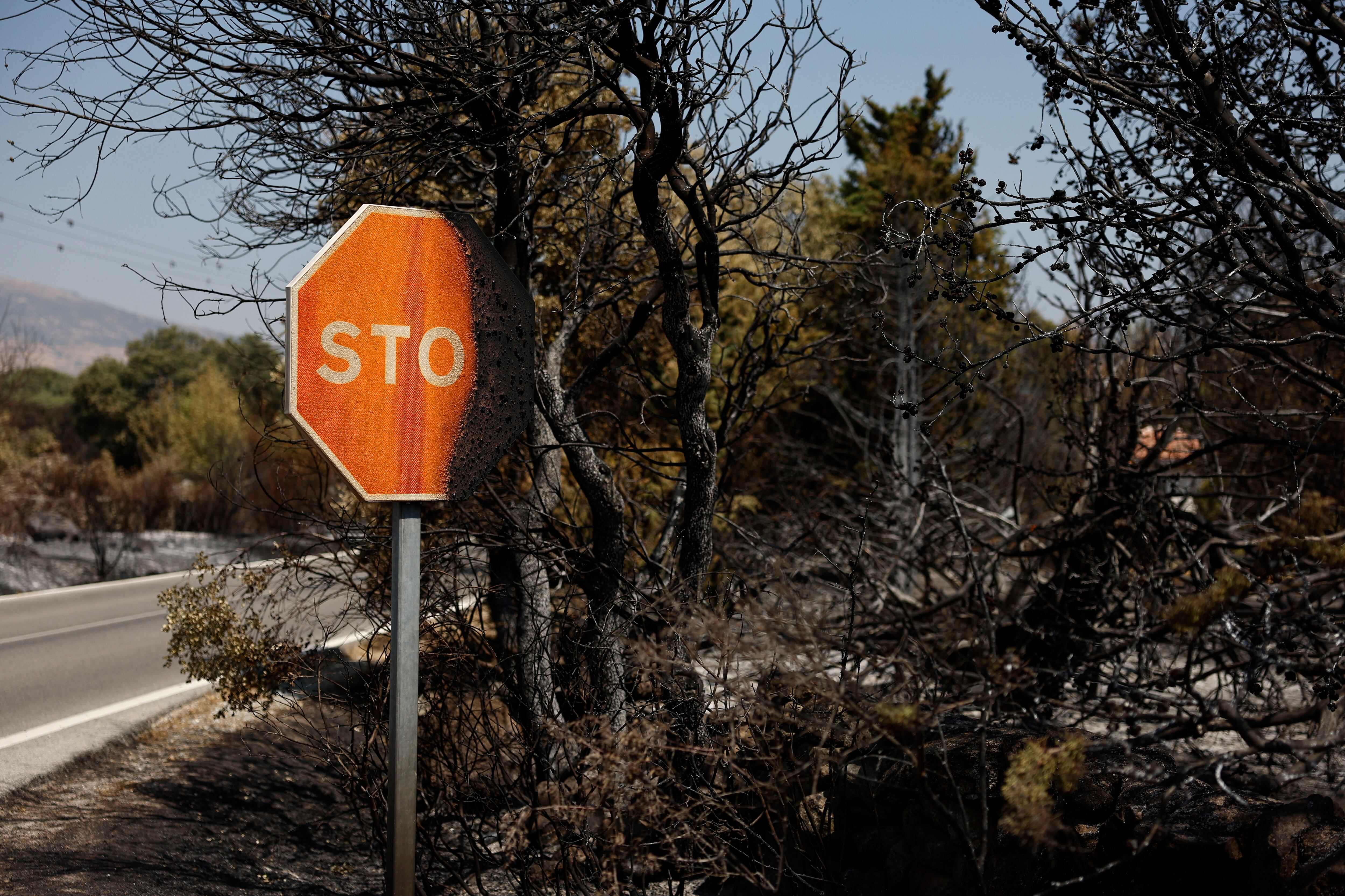 Vista de la tierra quemada en Fresnedillas de la Oliva este miércoles tras la vuelta de los vecinos evacuados por los incendios forestales. (EFE/Rodrigo Jiménez)