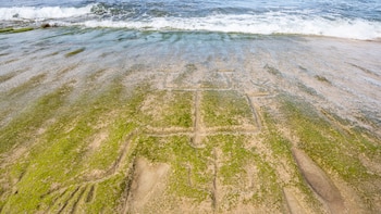 ¿Una advertencia ancestral? Las misteriosas