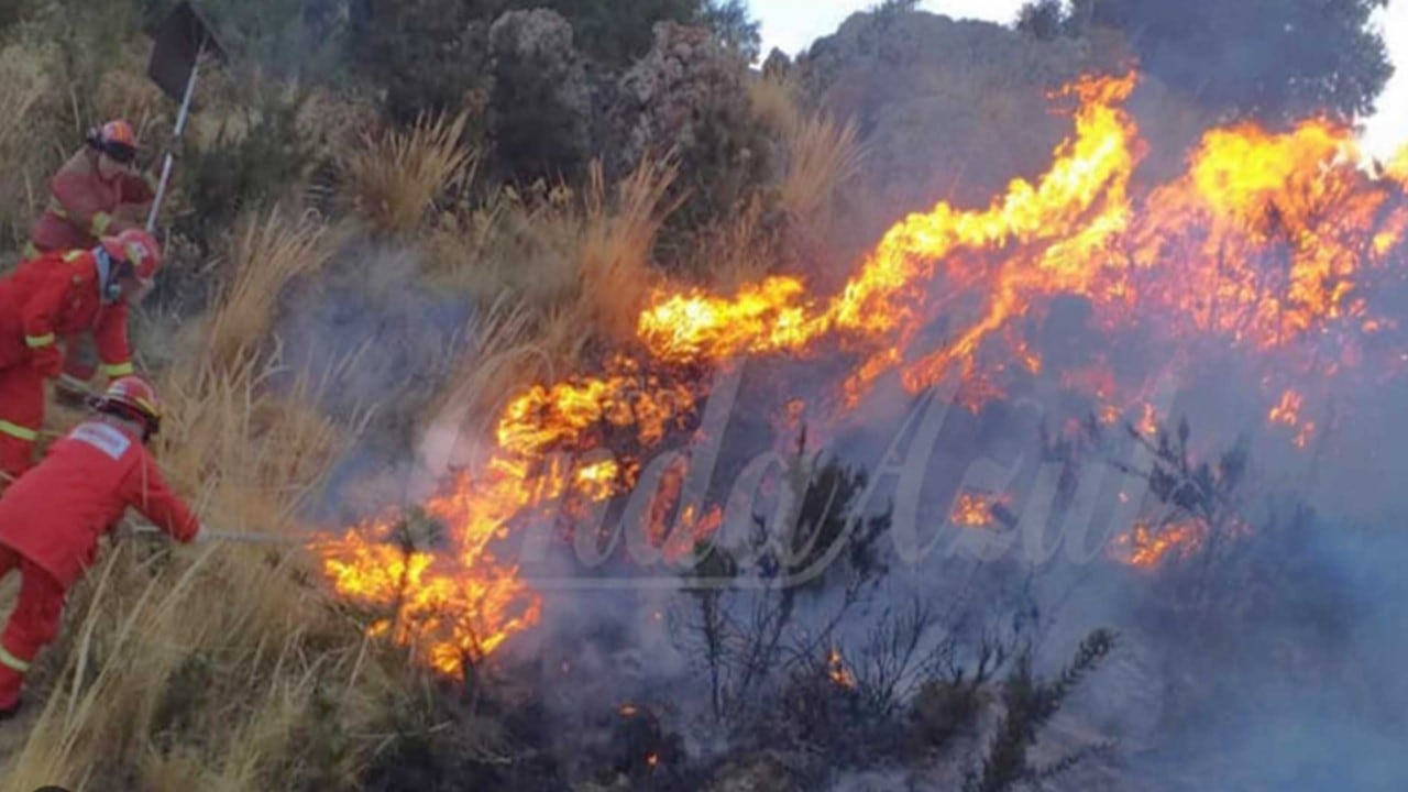 Bomberos sofocan un incendio forestal registrado en la localidad de Patallani, en el departamento peruano de Puno.