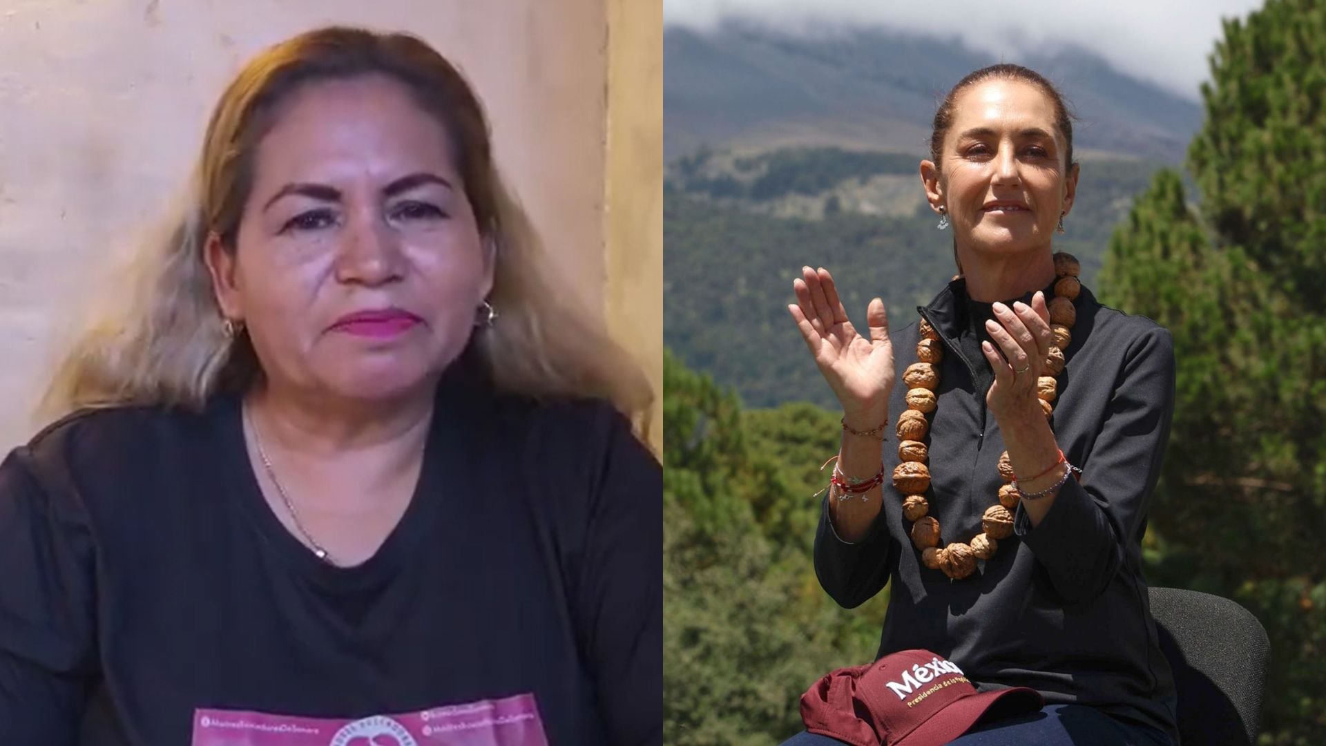En un video publicado en redes sociales, la líder de Madres Buscadoras de Sonora pidió a Sheinbaum movilizar al Ejército, la Guardia Nacional y los gobernadores para una jornada nacional de búsqueda de personas desaparecidas. (Captura de pantalla/CUARTOSCURO)