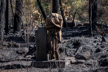 Una escultura quemada en el Jardín Botánico de La Adrada, a 1 de agosto de 2026, en Ávila, Castilla y León (España). (Gabri Solera/Europa Press)