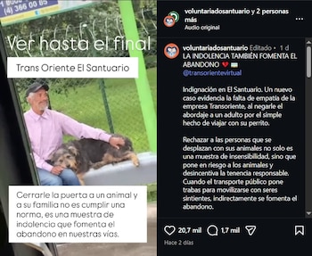 Organizaciones de protección animal reclamaron protocolos claros para garantizar el bienestar de las mascotas y la seguridad de los pasajeros - crédito voluntariadosantuario / Instagram