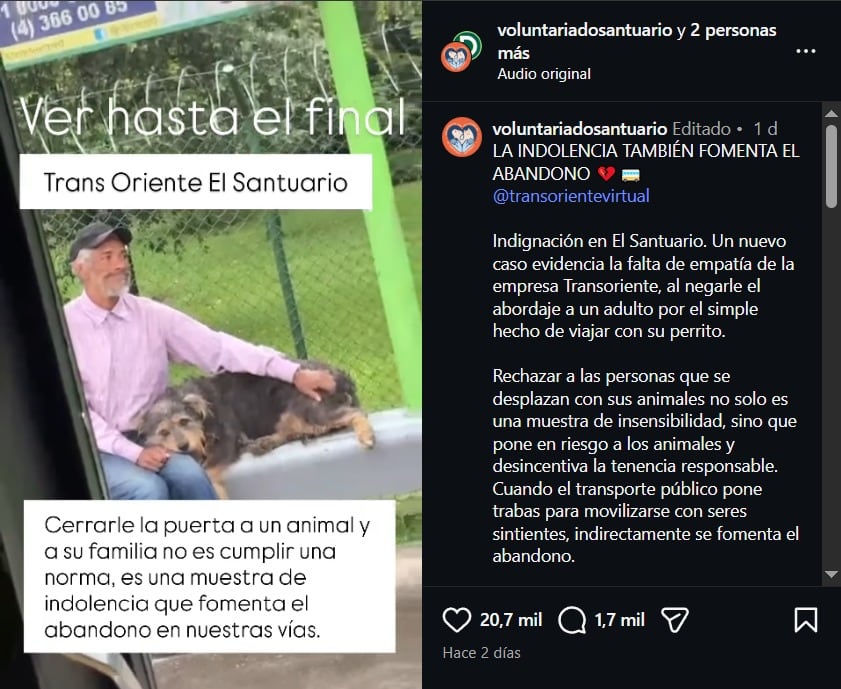 Organizaciones de protección animal reclamaron protocolos claros para garantizar el bienestar de las mascotas y la seguridad de los pasajeros - crédito voluntariadosantuario / Instagram