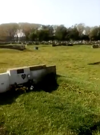 Las placas sustraídas son de