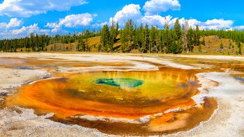 Yellowstone es el hogar de