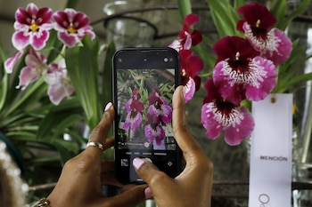 La orquídea colombiana se robó el protagonismo en el atuendo de la esposa del vicepresidente colombiano - crédito EFE/Luis Eduardo Noriega Arboleda