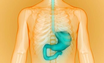 Las pruebas estándar de bebidas