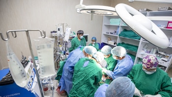 Día Internacional del Trasplante de